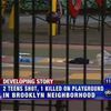 Man Arrested For Fatally Shooting 15-Yr-Old At Brooklyn Playground In 2011